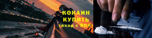 гашик Карпинск