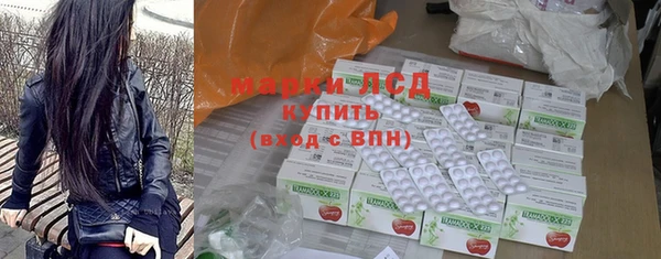 гашик Карпинск