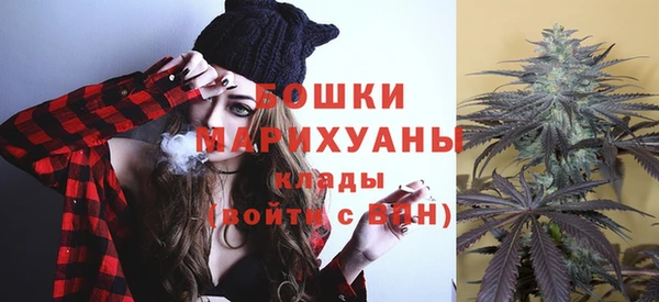 тгк Каменногорск