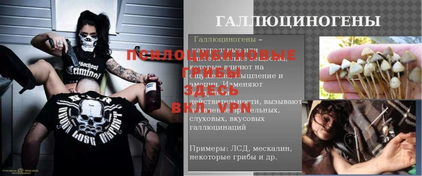 гашик Карпинск