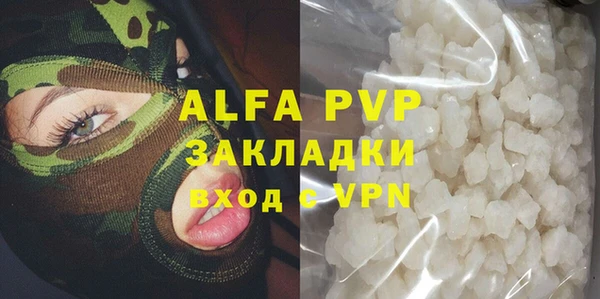 гашик Карпинск