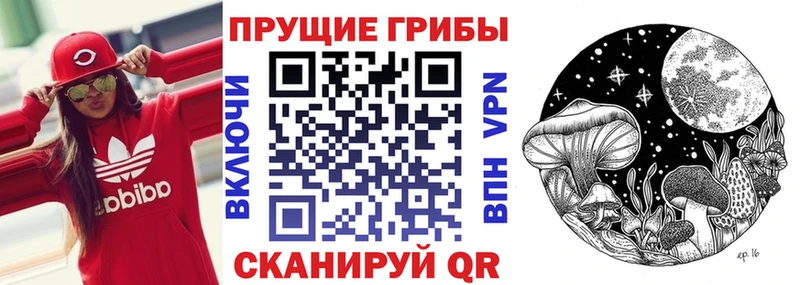 Купить закладки  Сельцо  Галлюциногенные грибы Cubensis 